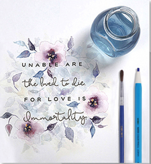 Deli 6507按動式水溶顏色筆(12色/盒)：圖片 3