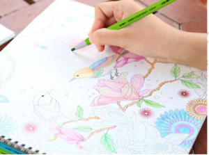 Deli 6507按動式水溶顏色筆(12色/盒)：圖片 6