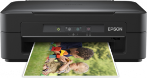 Epson Mono Inkjet Printer Epson Expression Home XP-102