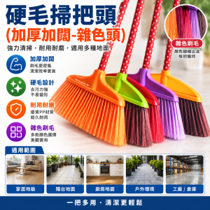 掃把頭 (加厚加闊硬毛-雜色頭)